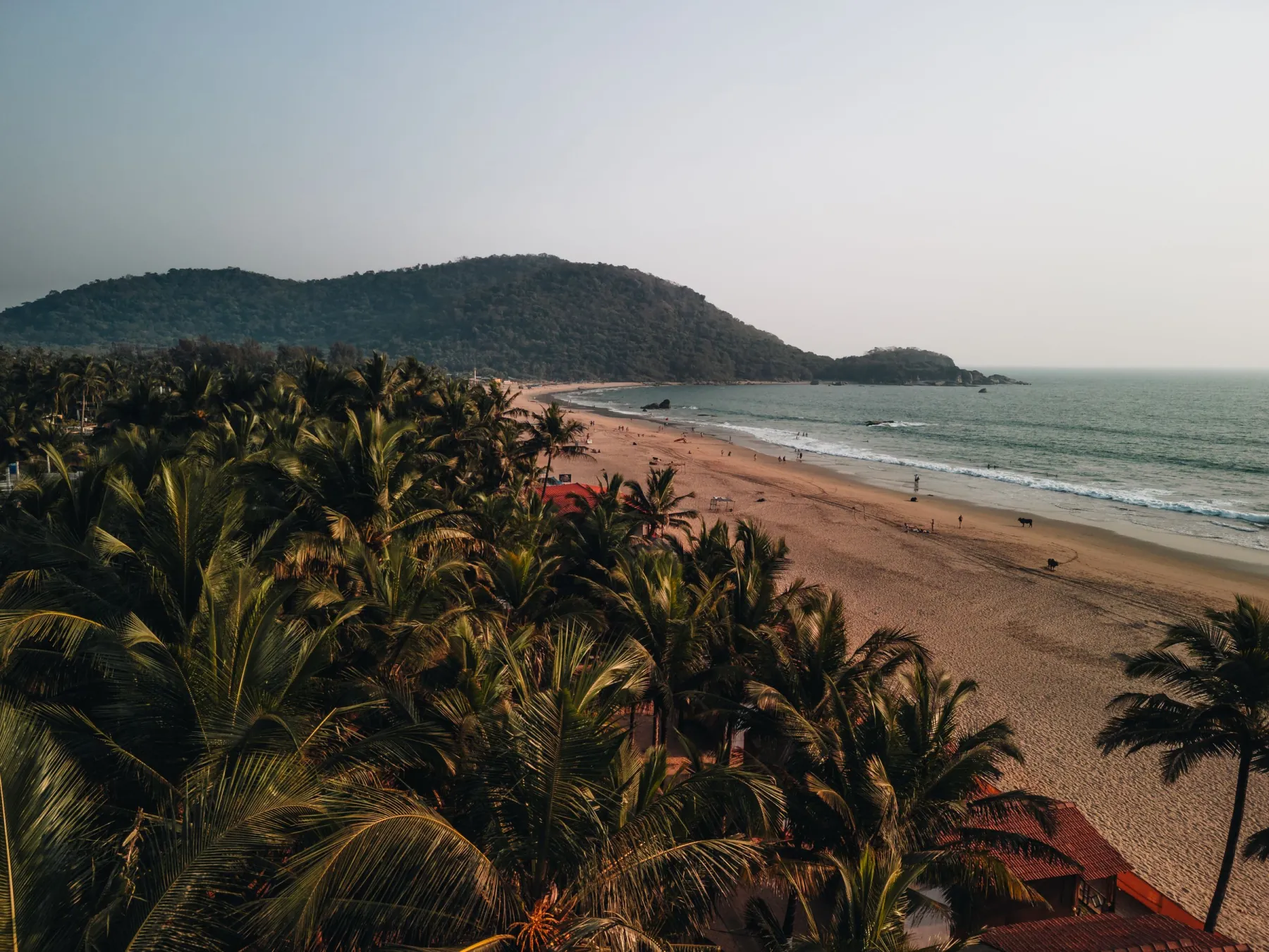 A stunning aerial view of Palolem Beach in Goa, India at sunset, lined with lush palm trees.