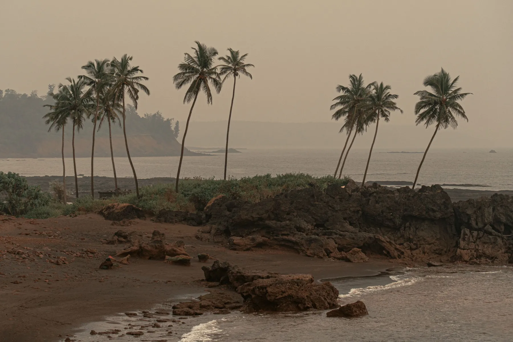 Dramatic coastline of Goa with swaying palm trees and rocky shore at sunset.