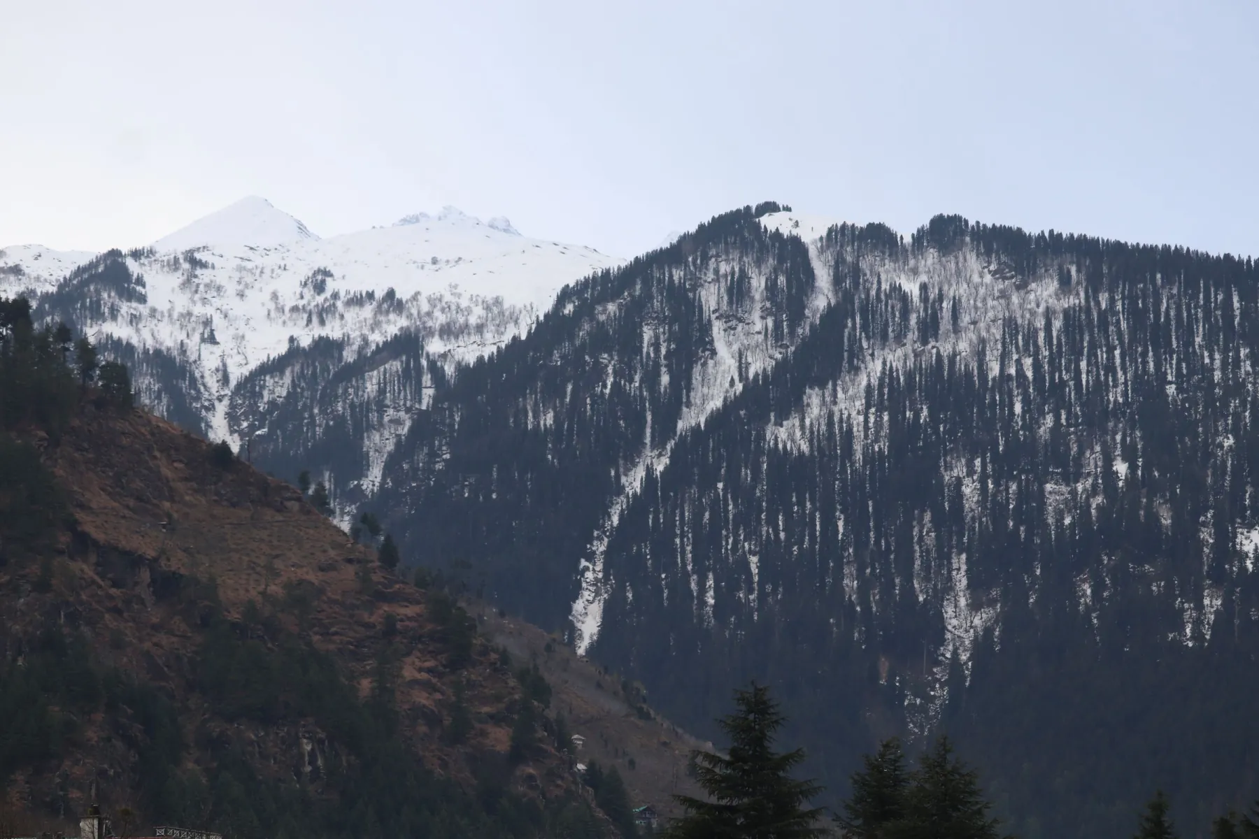 Majestic snow-capped mountains and forested hills in Manali, India, showcasing nature's beauty.