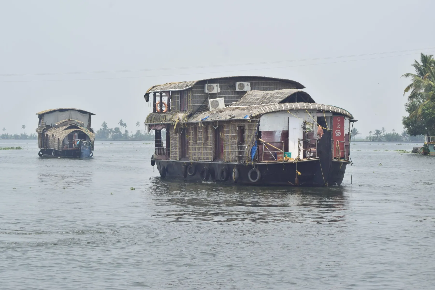Traditional houseboats cruise the serene backwaters of Alappuzha, Kerala, India.