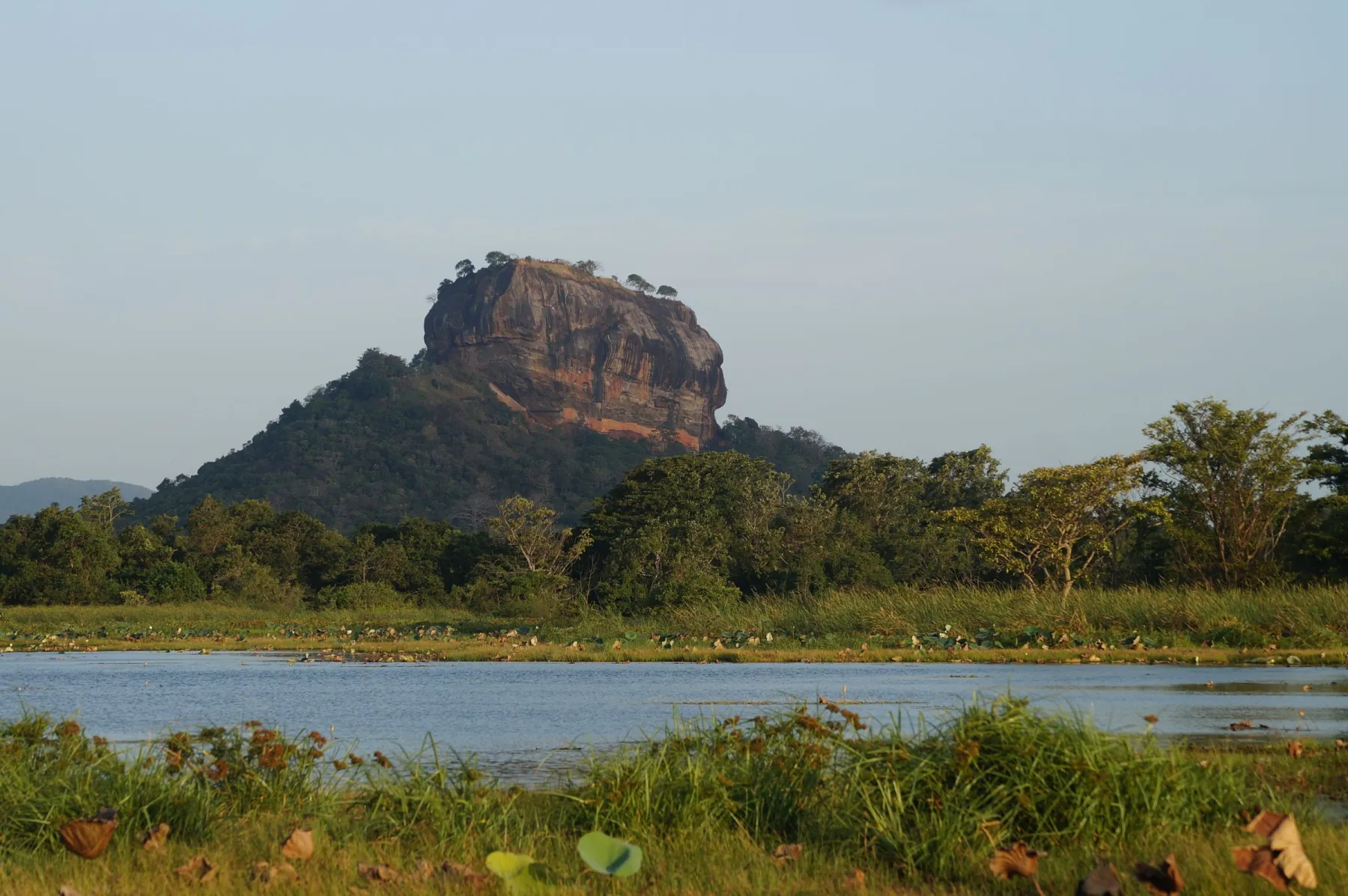 View of the iconic Sigiriya Rock Fortress surrounded by lush greenery and water, captured at sunrise.