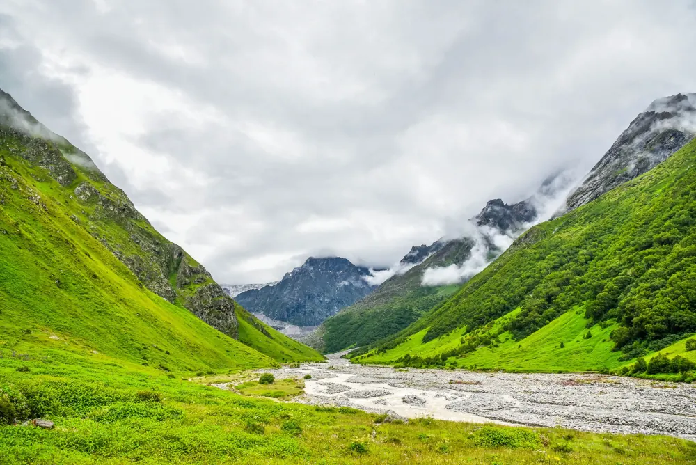 Scenic view of lush green valley with mountains in Uttarakhand, India.