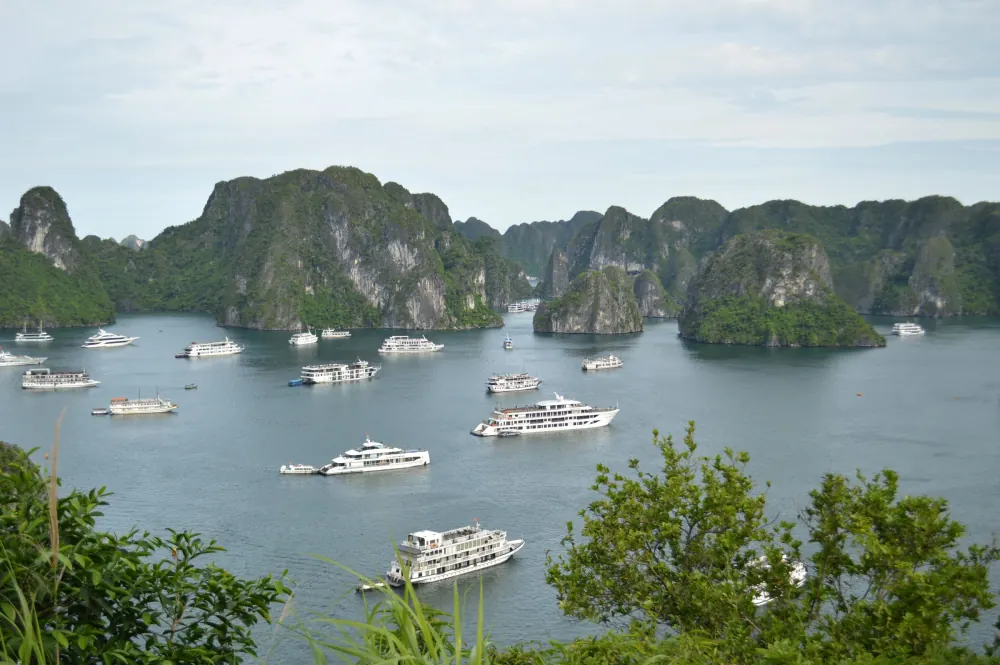 Explore the stunning limestone islands and cruise boats of Ha Long Bay, Vietnam.